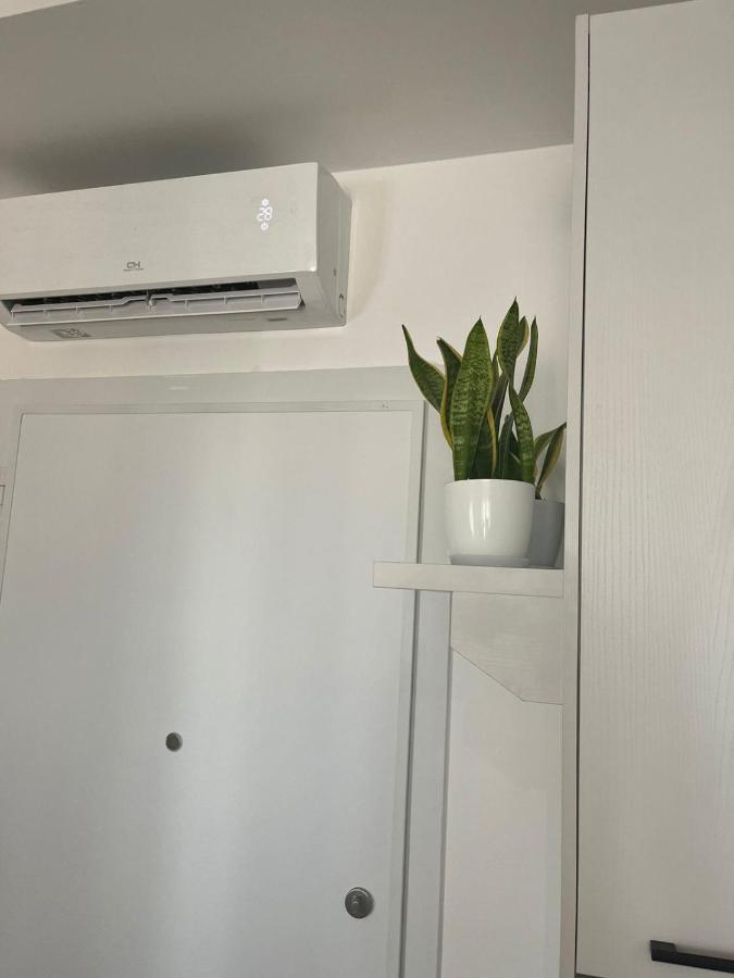 Comfy Nest Apartment- Free Parking Tirana Zewnętrze zdjęcie